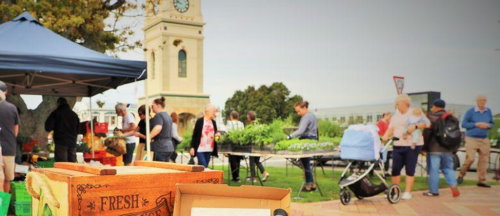 The Feilding Farmers Market